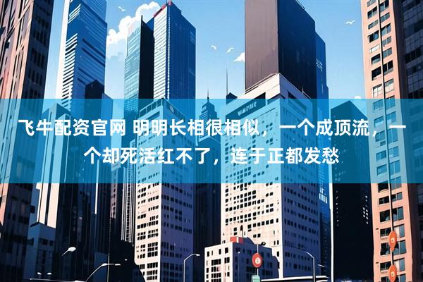飞牛配资官网 明明长相很相似，一个成顶流，一个却死活红不了，连于正都发愁
