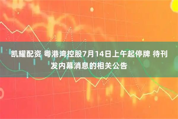 凯耀配资 粤港湾控股7月14日上午起停牌 待刊发内幕消息的相关公告