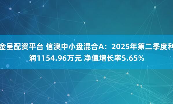 金呈配资平台 信澳中小盘混合A：2025年第二季度利润1154.96万元 净值增长率5.65%