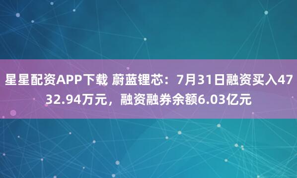 星星配资APP下载 蔚蓝锂芯：7月31日融资买入4732.94万元，融资融券余额6.03亿元